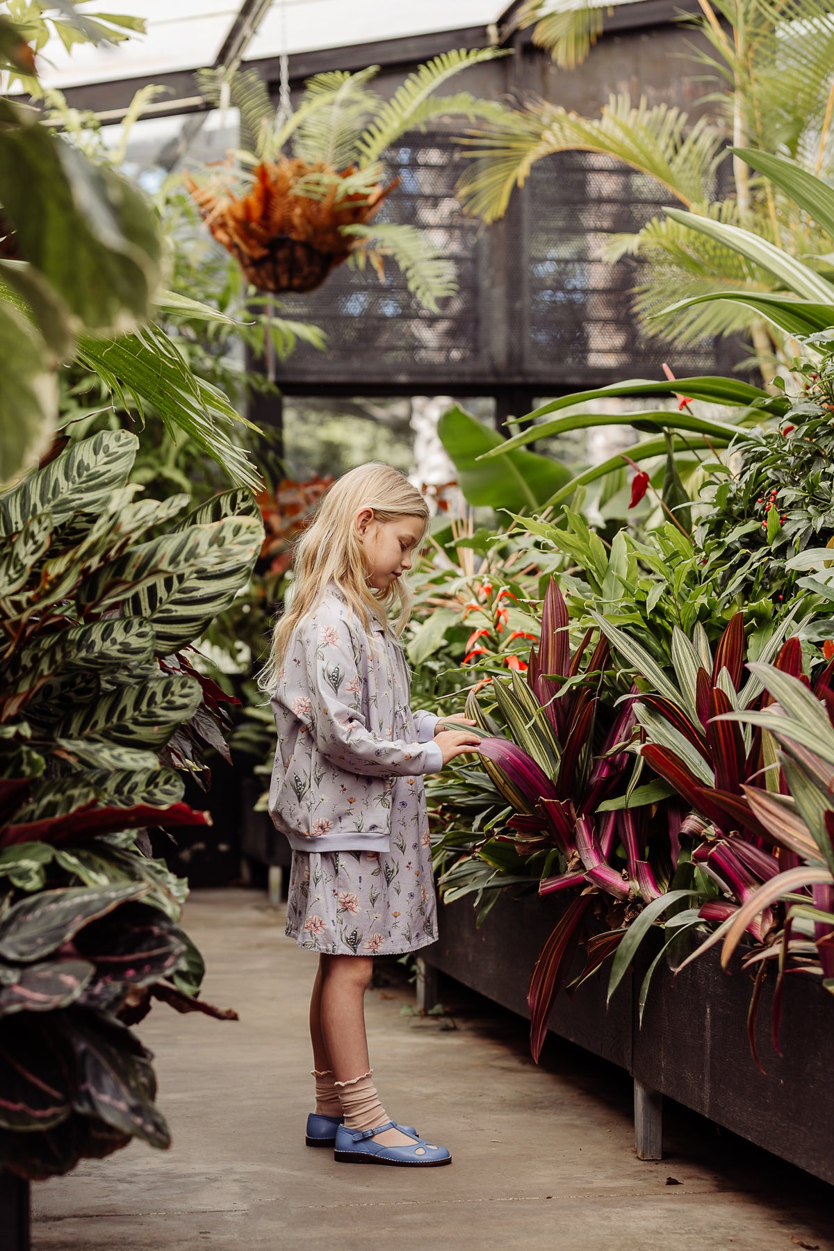 Maisie Jacket - Lavender