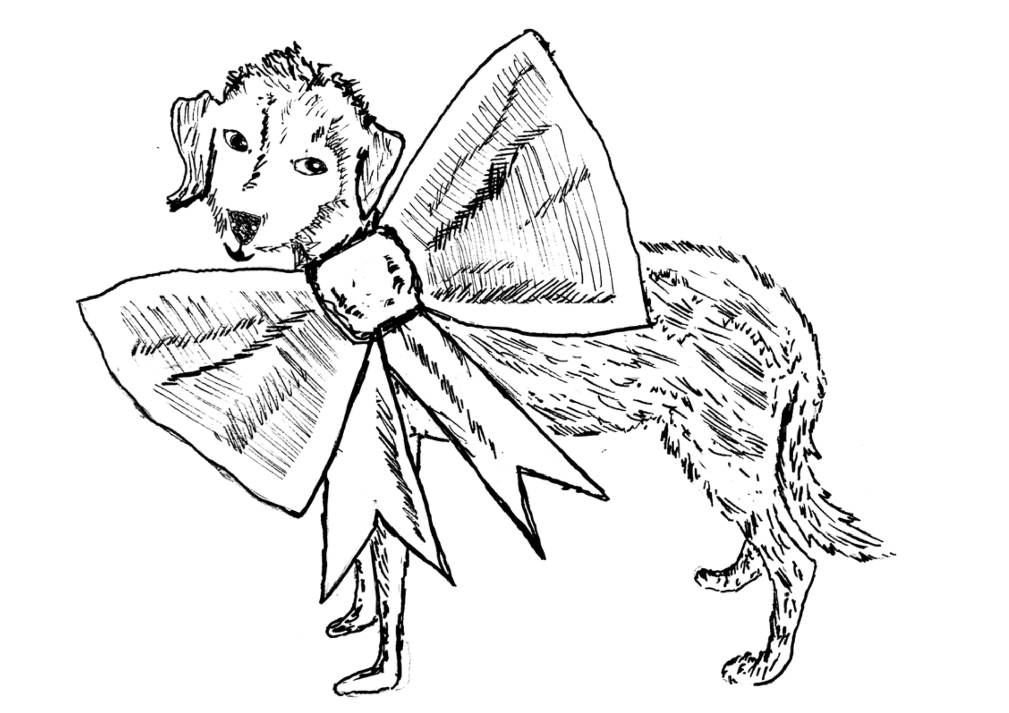 Dog Illustration