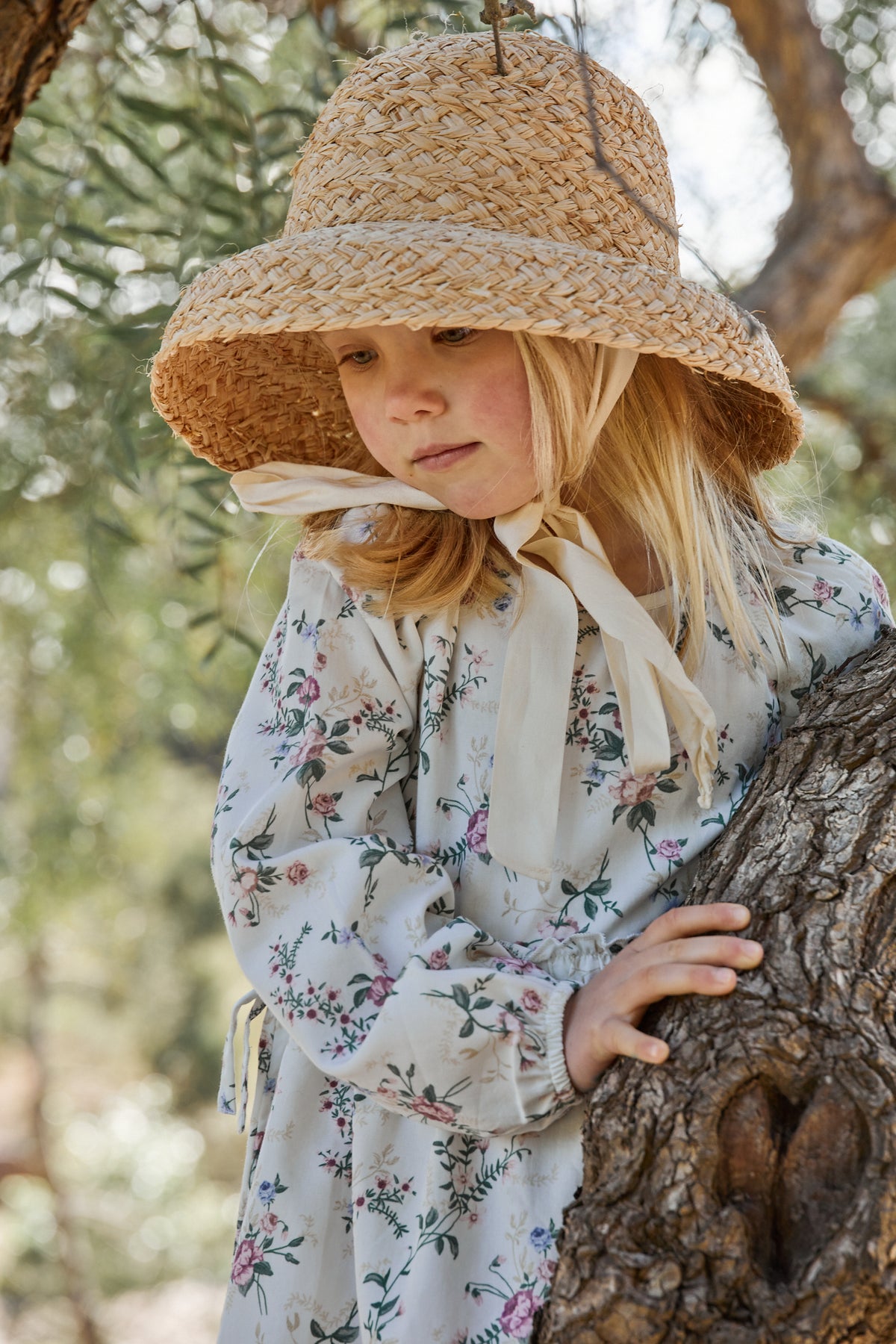 Aubrie Long Sleeve Dress